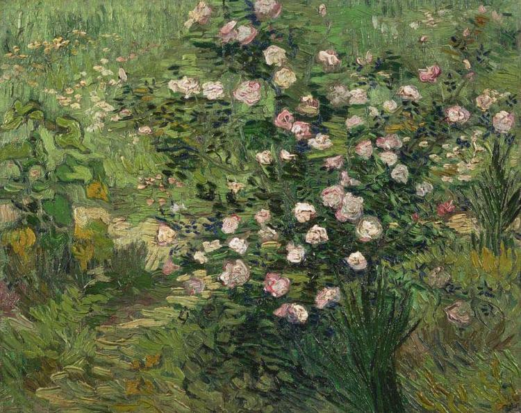 Vincent Van Gogh Roses Spain oil painting art